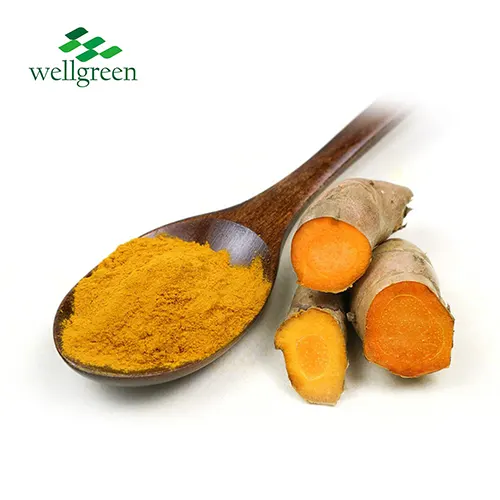 Curcuma Longa Root Extract